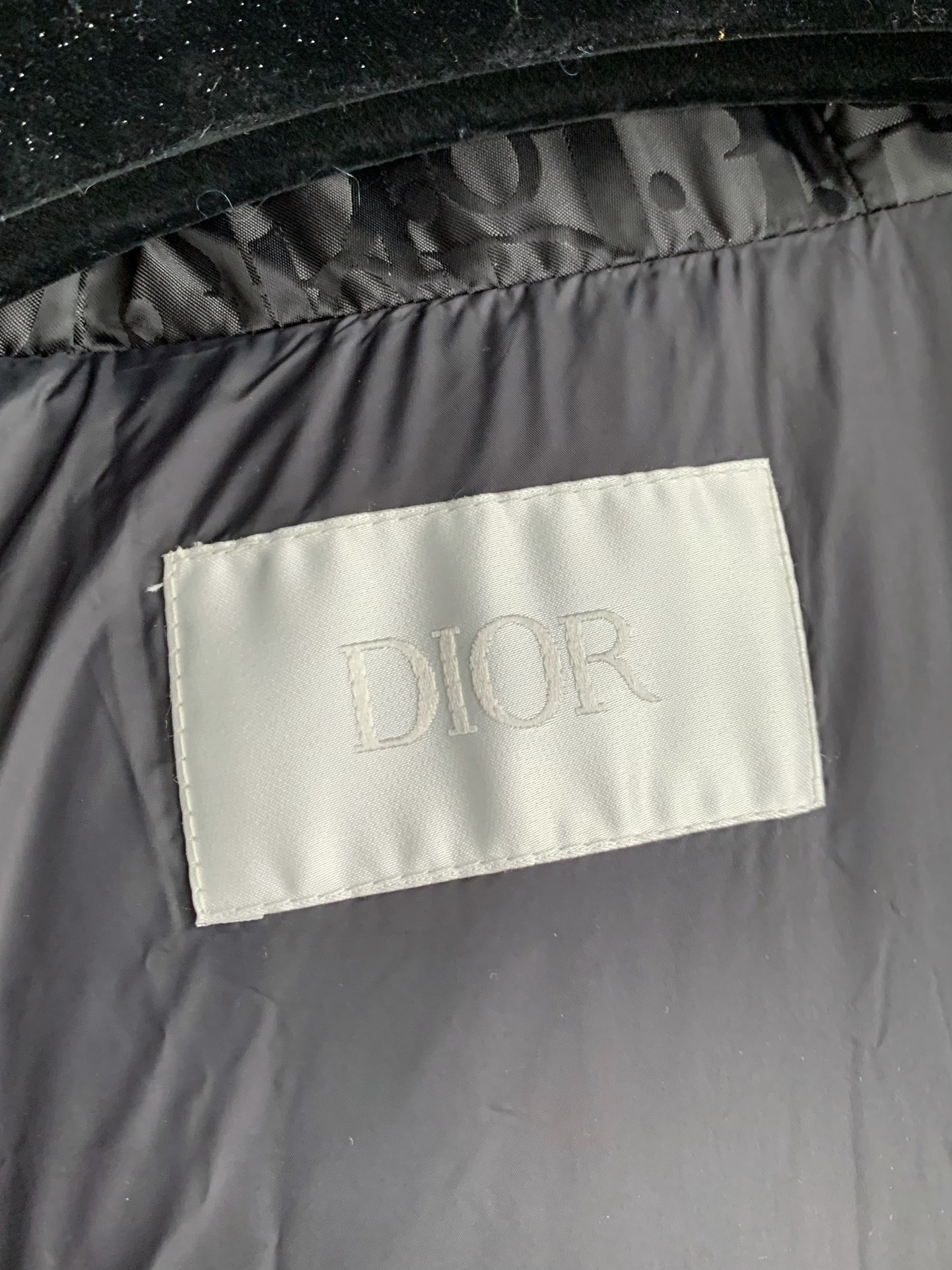 DIOR Logo Printed Down Jacket