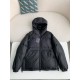 LOUIS VUITTON LOGO Down Jacket