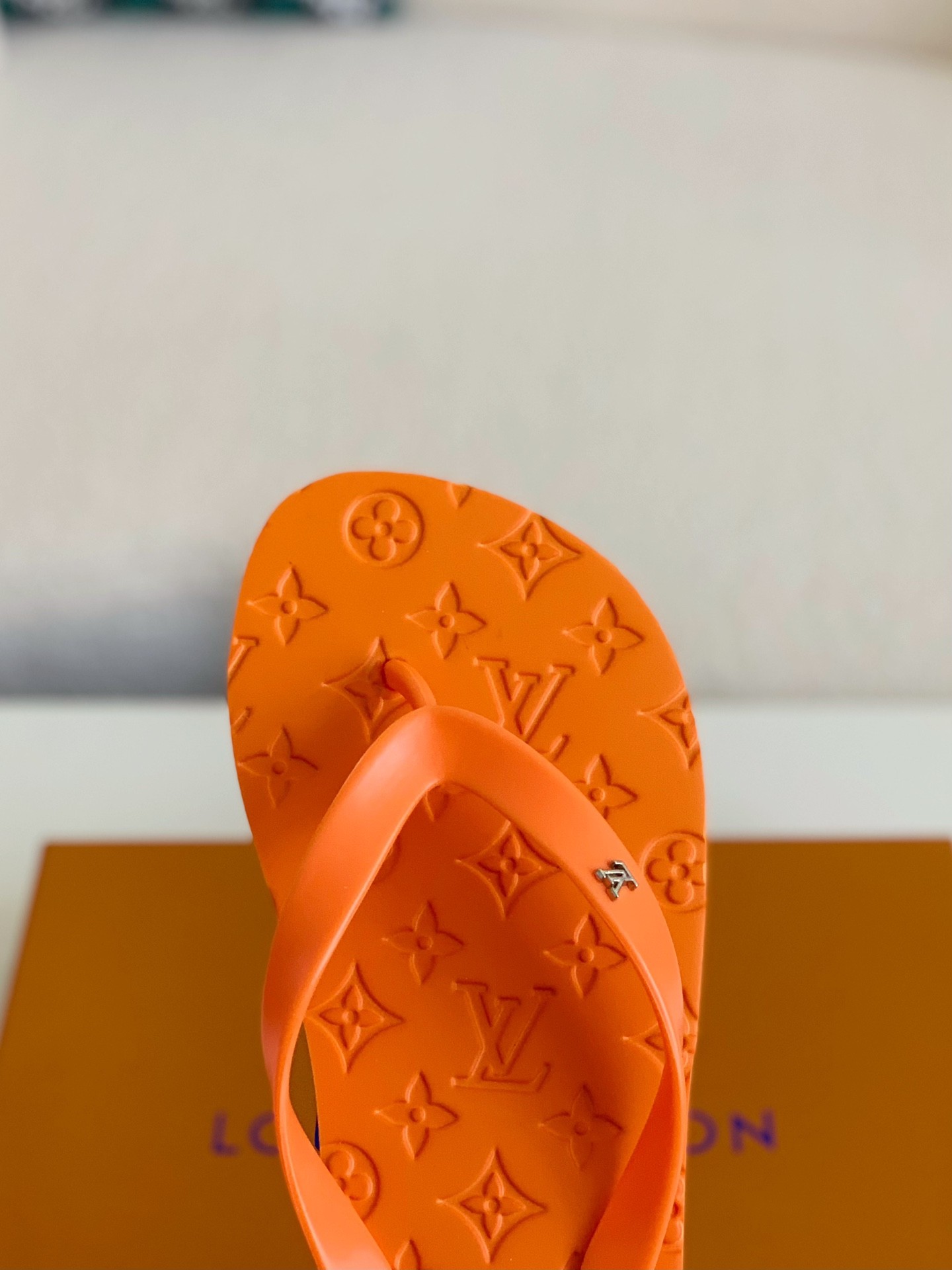 Louis Vuitton flip flops