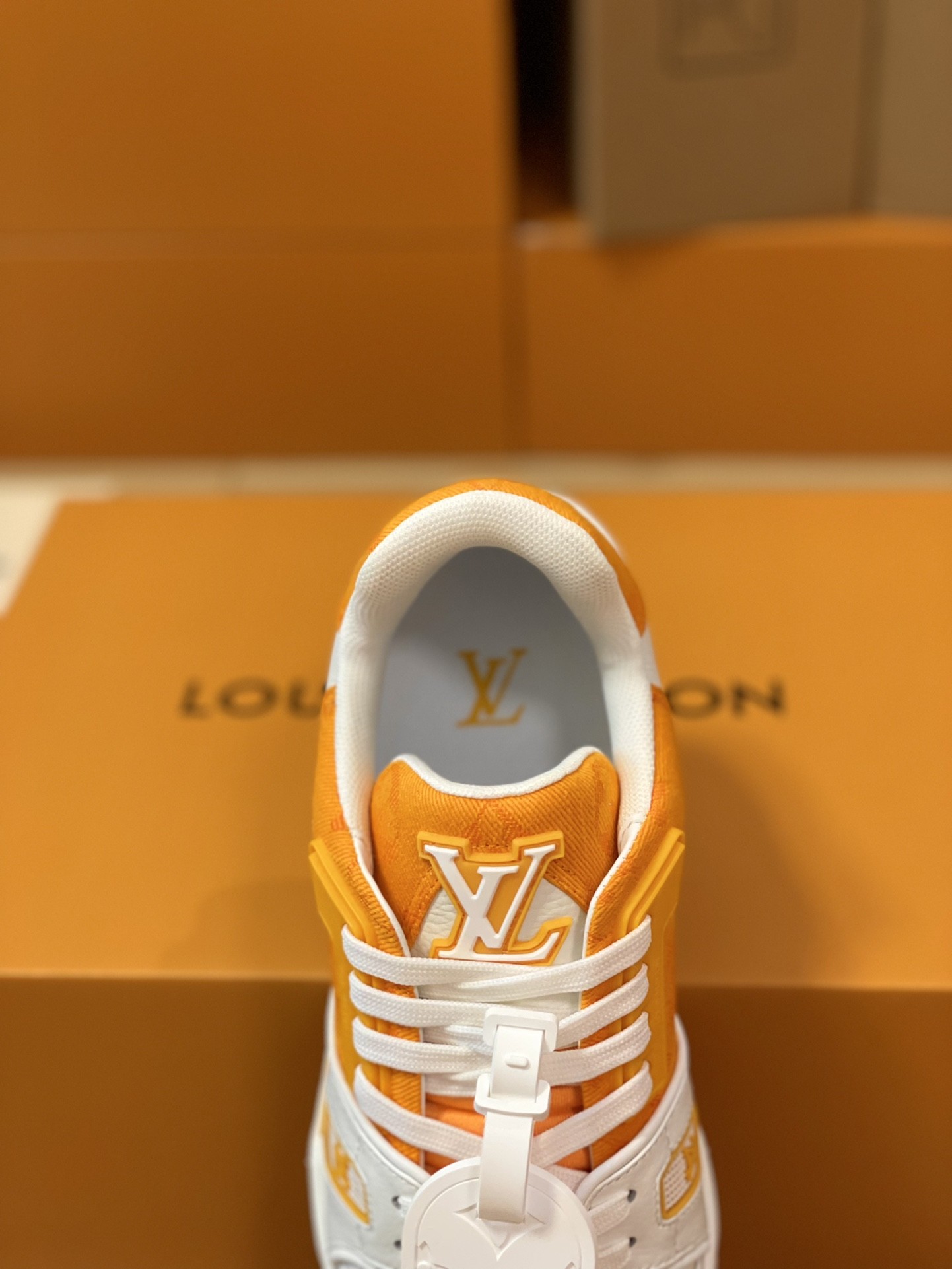 LOUIS VUITTON TRAINER 1A9IQ5 Sneakers