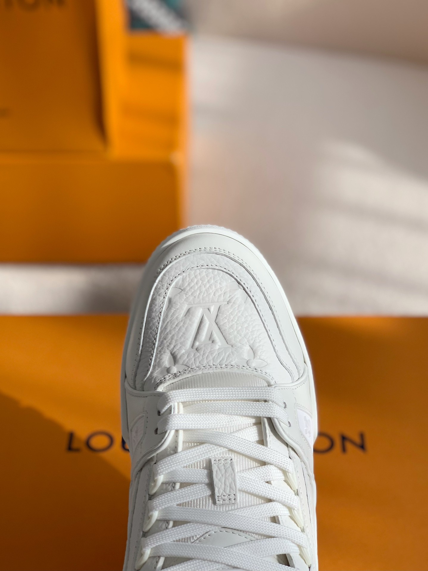 LOUIS VUITTON TRAINER SNEAKERS