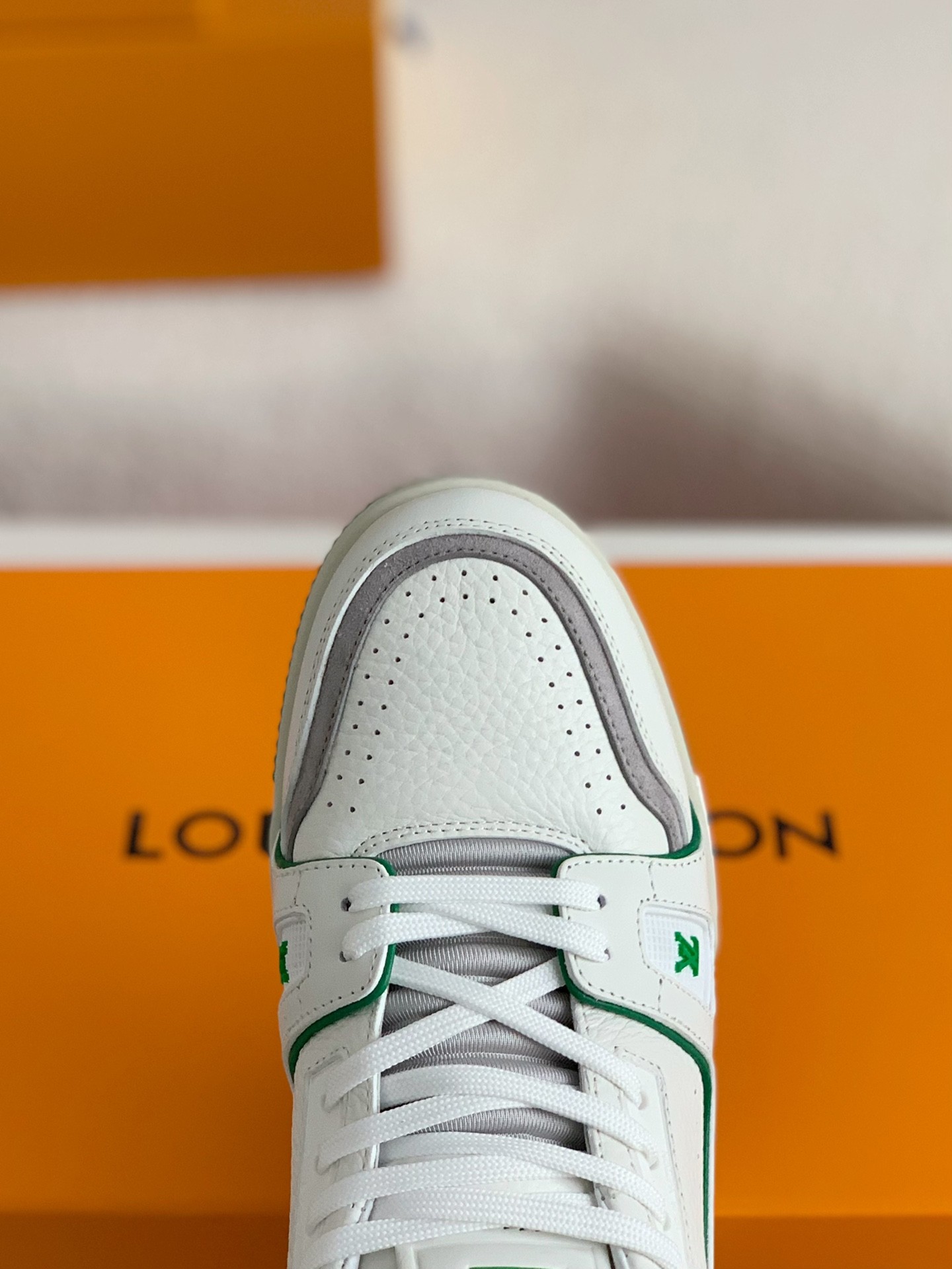 LOUIS VUITTON TRAINER Sneakers