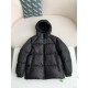 LOUIS VUITTON LOGO Down Jacket