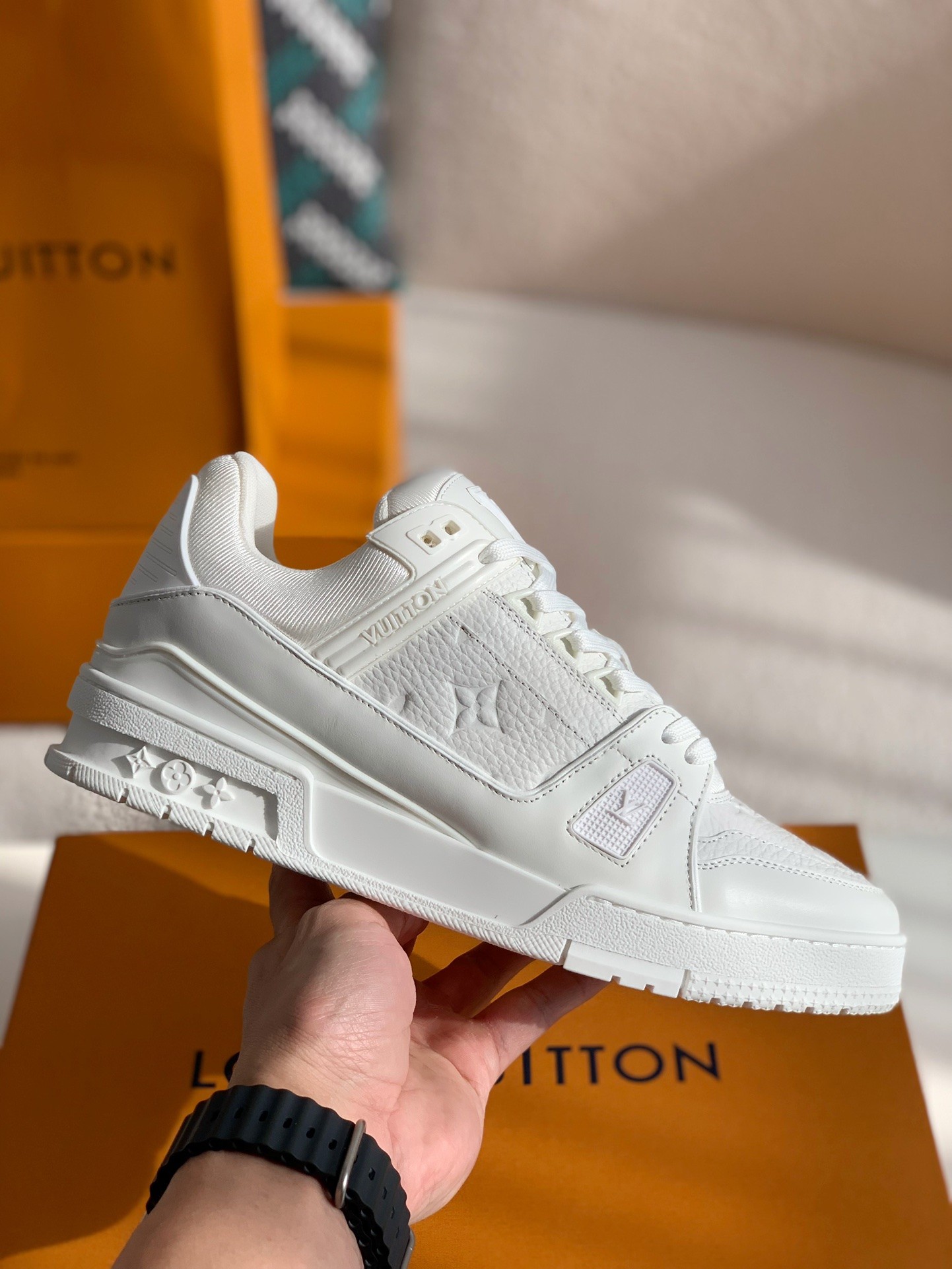 LOUIS VUITTON TRAINER Sneakers