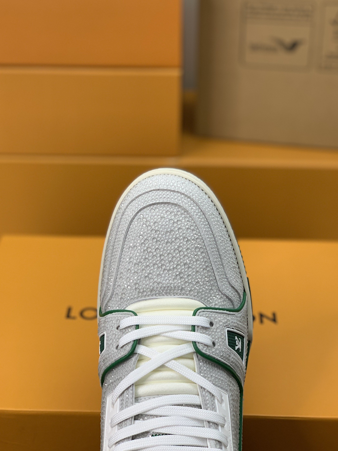 LOUIS VUITTON TRAINER Sneakers