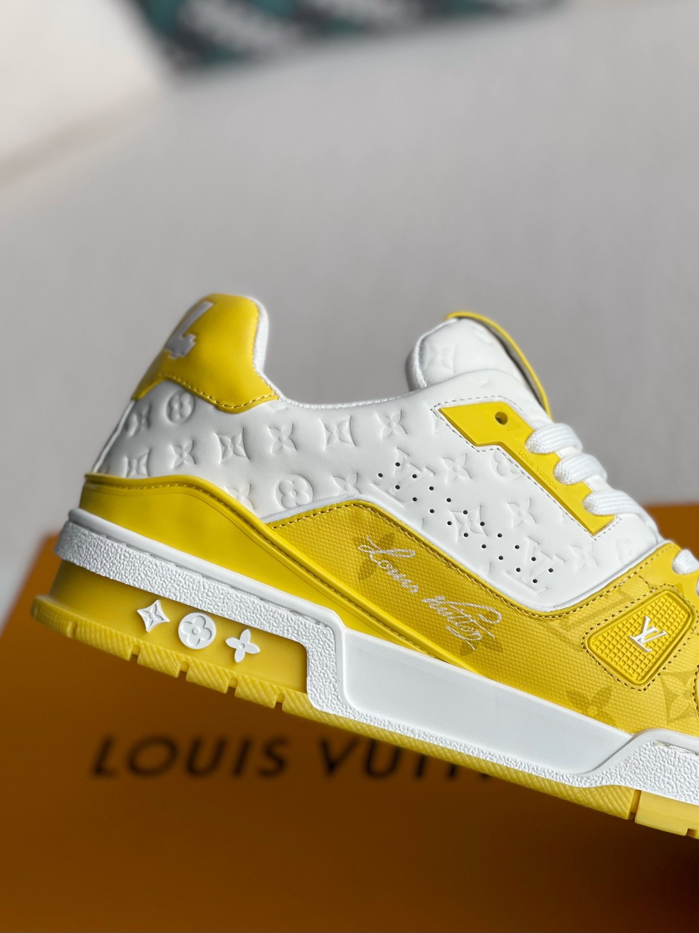 LOUIS VUITTON TRAINER Sneakers