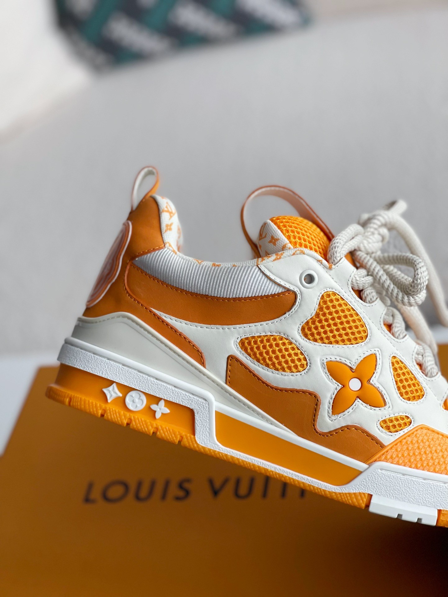 LOUIS VUITTON Skate