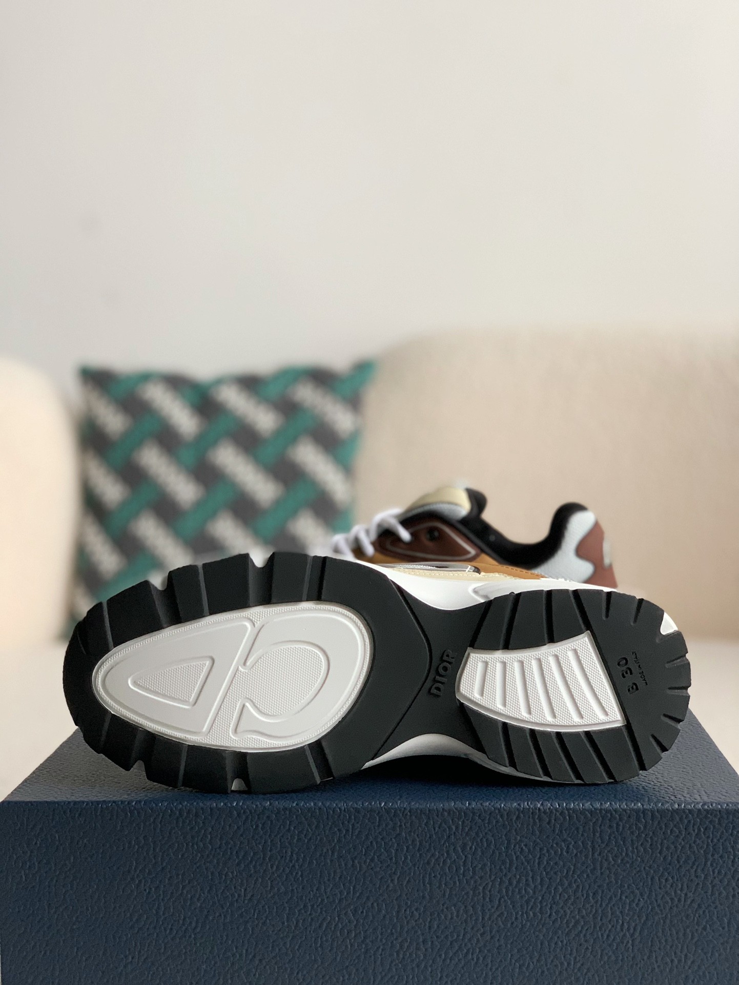 Dior b27 sneaker