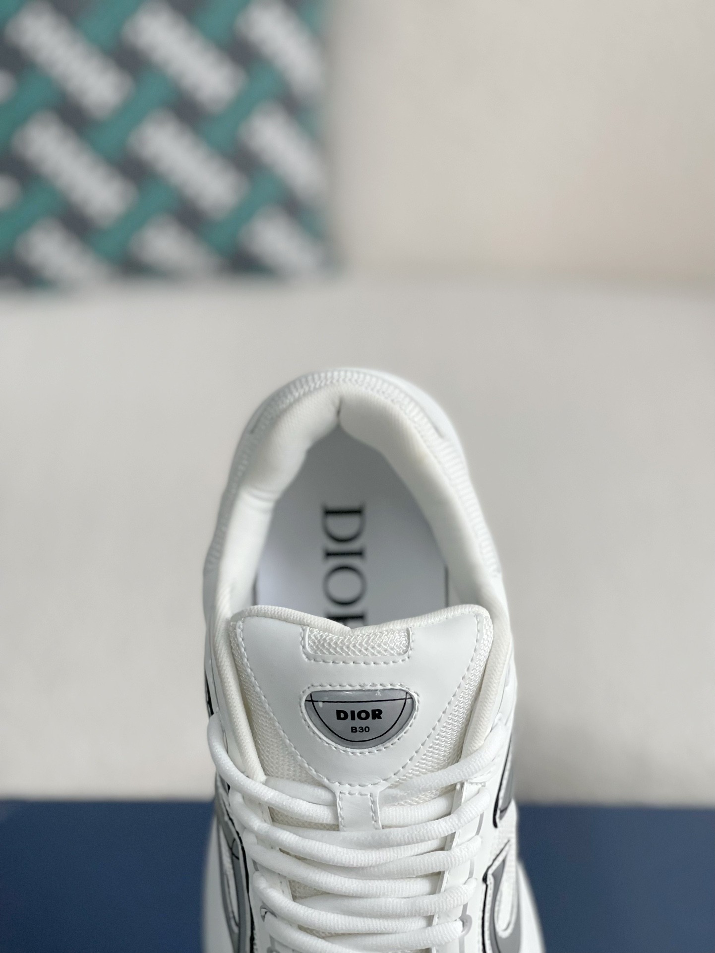 Dior b30 sneaker