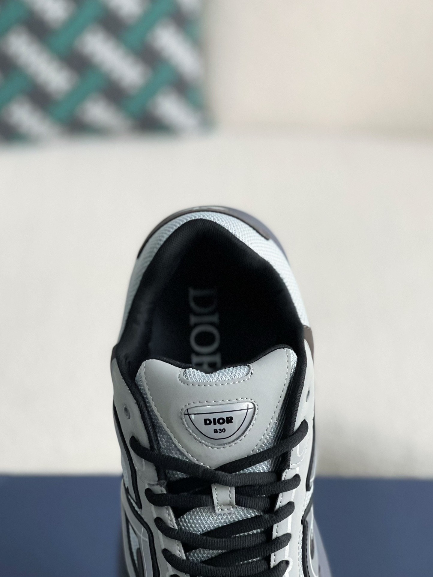 Dior b30 sneaker