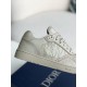 DIOR B27 Oblique Sneakers