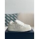 DIOR B27 Oblique Sneakers