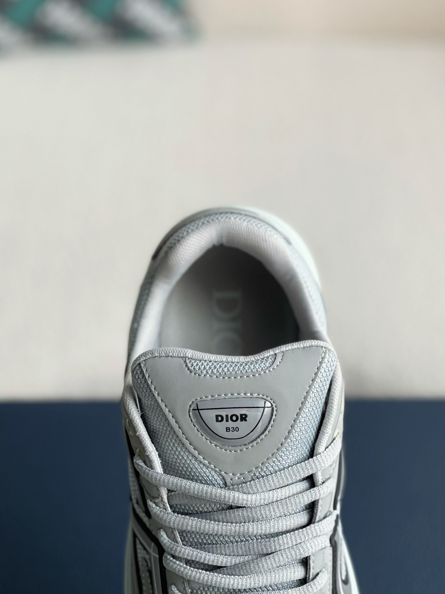 DIOR NEW ARRIVAL B30 Clunky Sneaker