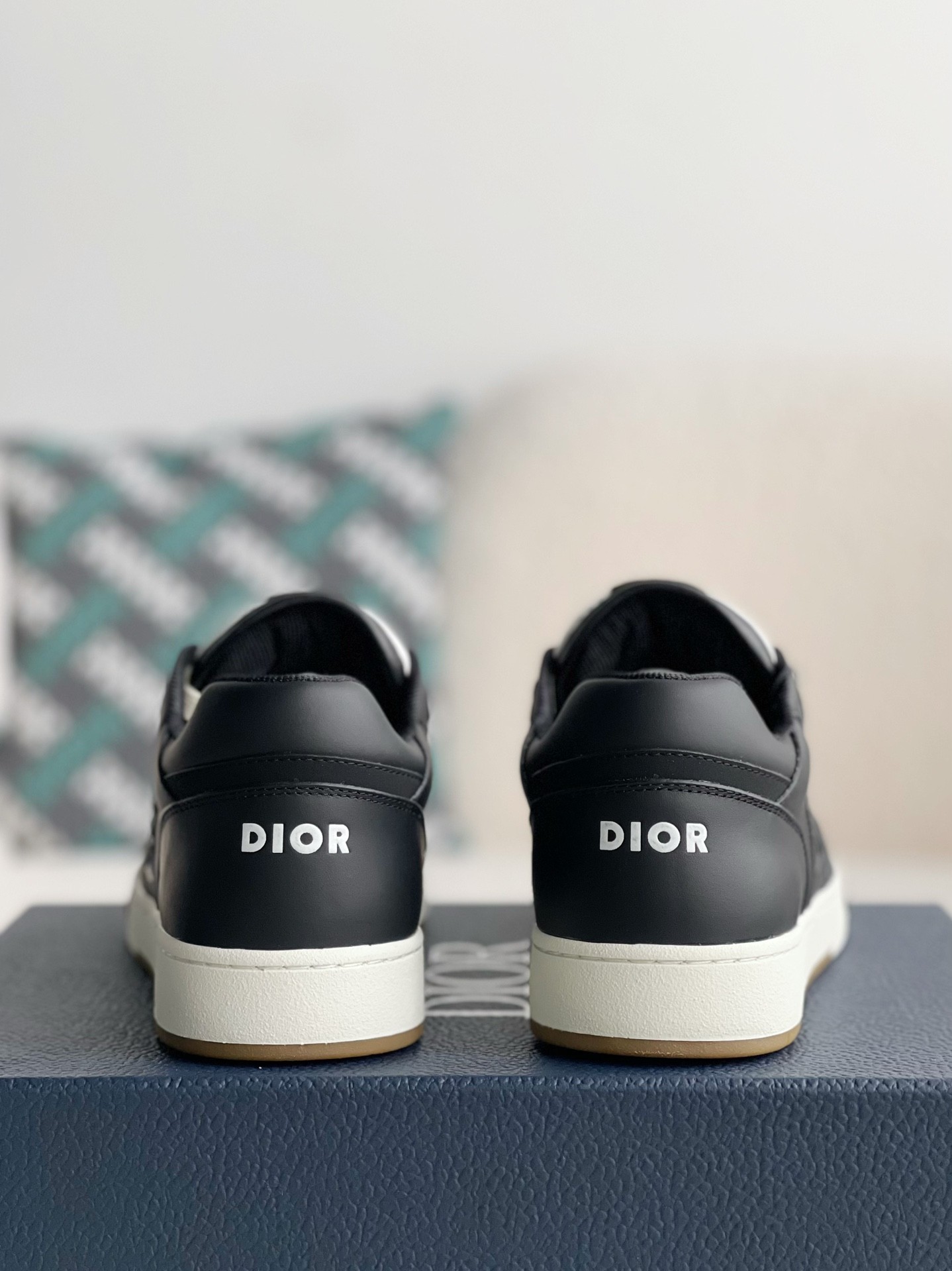 Dior B101 Sneaker Shoes Luxury Shoes