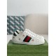 Gucci sneakers White