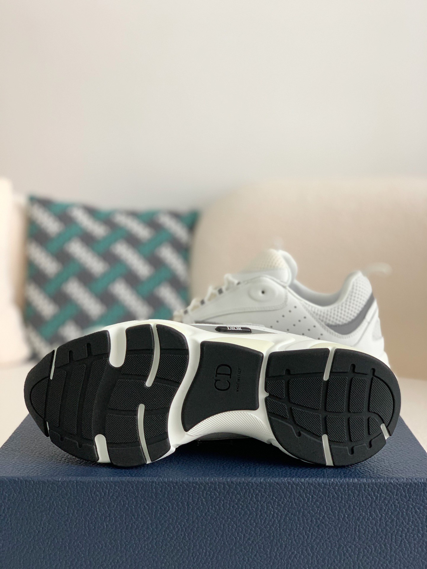 DIOR classic B22 Clunky Sneaker