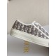 Dior B23 low Sneaker