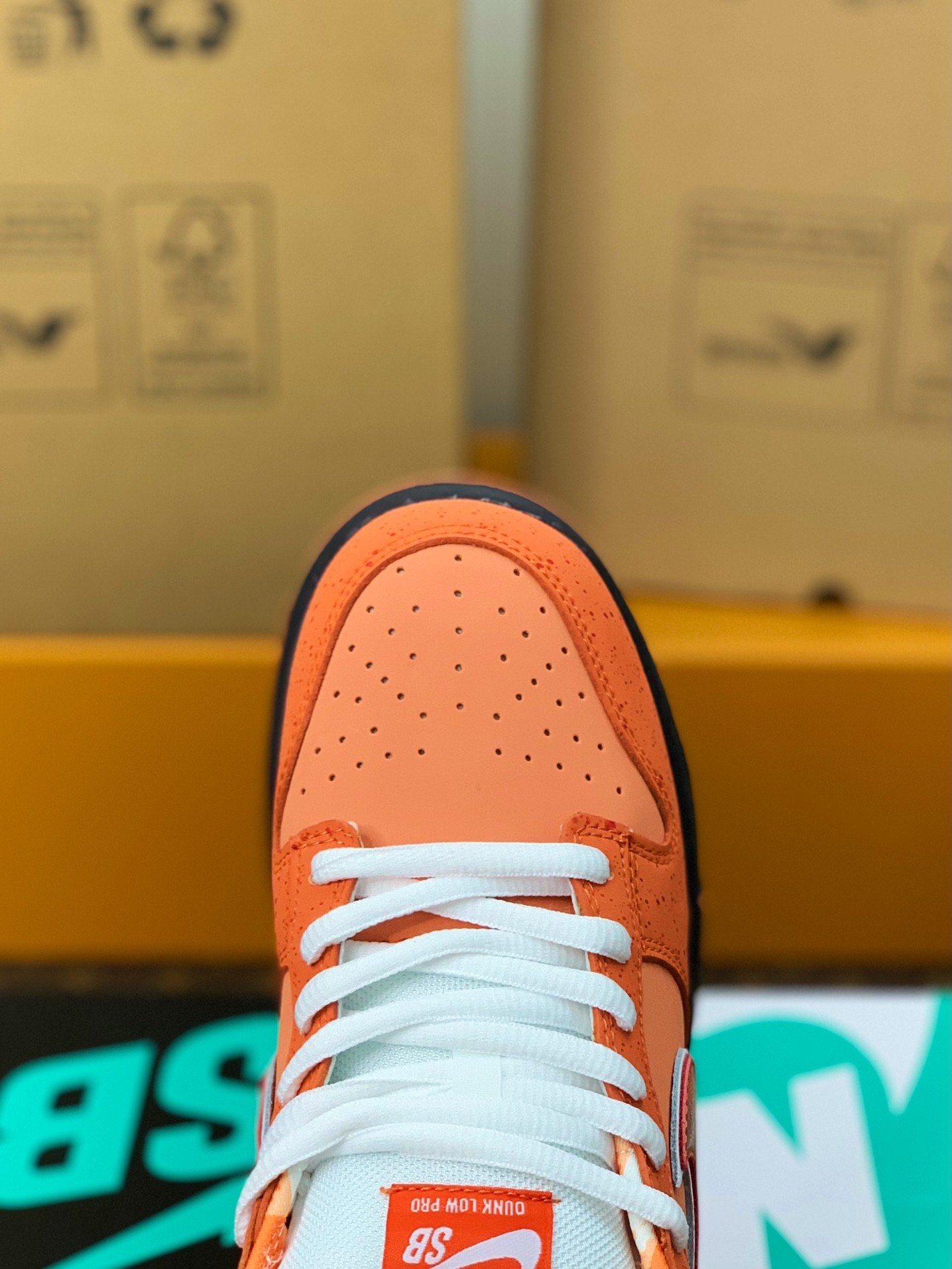 Nike UA Dunk SB Low Orange Lobster Sneakers