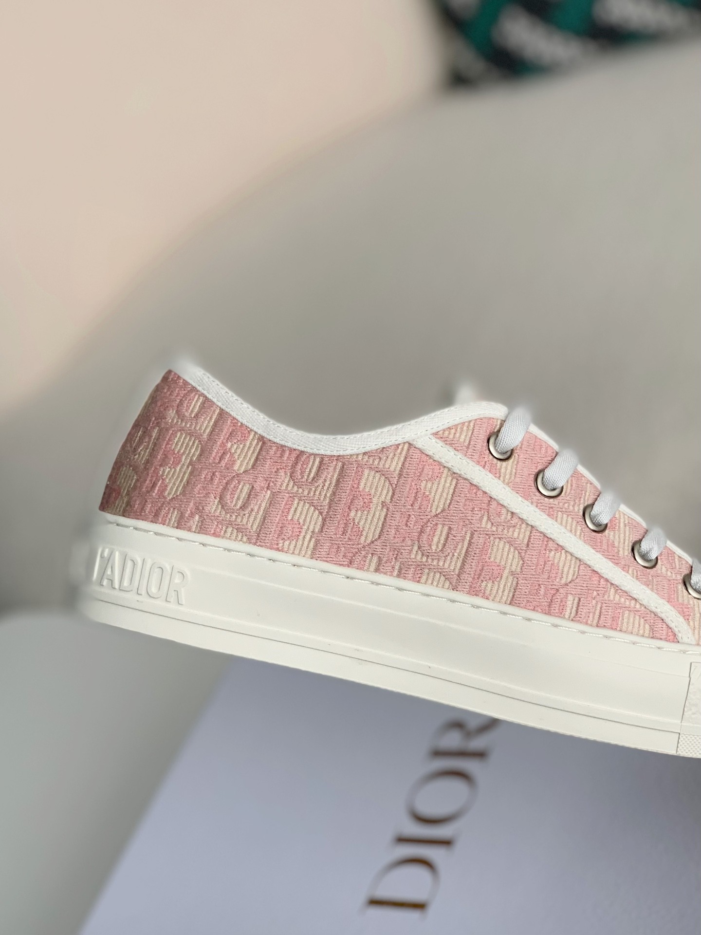 Dior  low Sneaker  Low-Top Sneakers