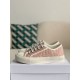 Dior  low Sneaker  Low-Top Sneakers