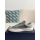 Dior B27 Gray White Low-Top Sneakers