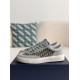 Dior B27 Gray White Low-Top Sneakers