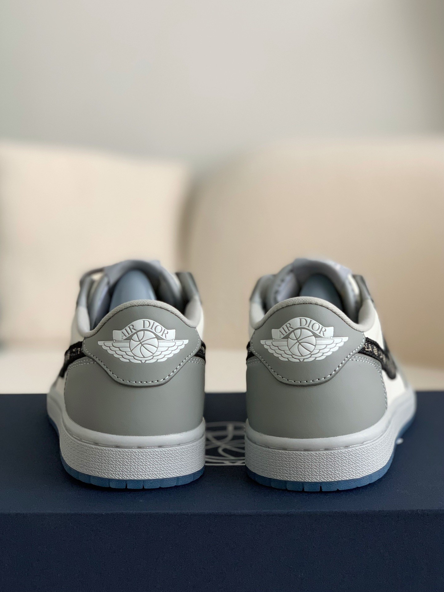 DIOR X NIKEJORDAN 1 Sneaker Low 