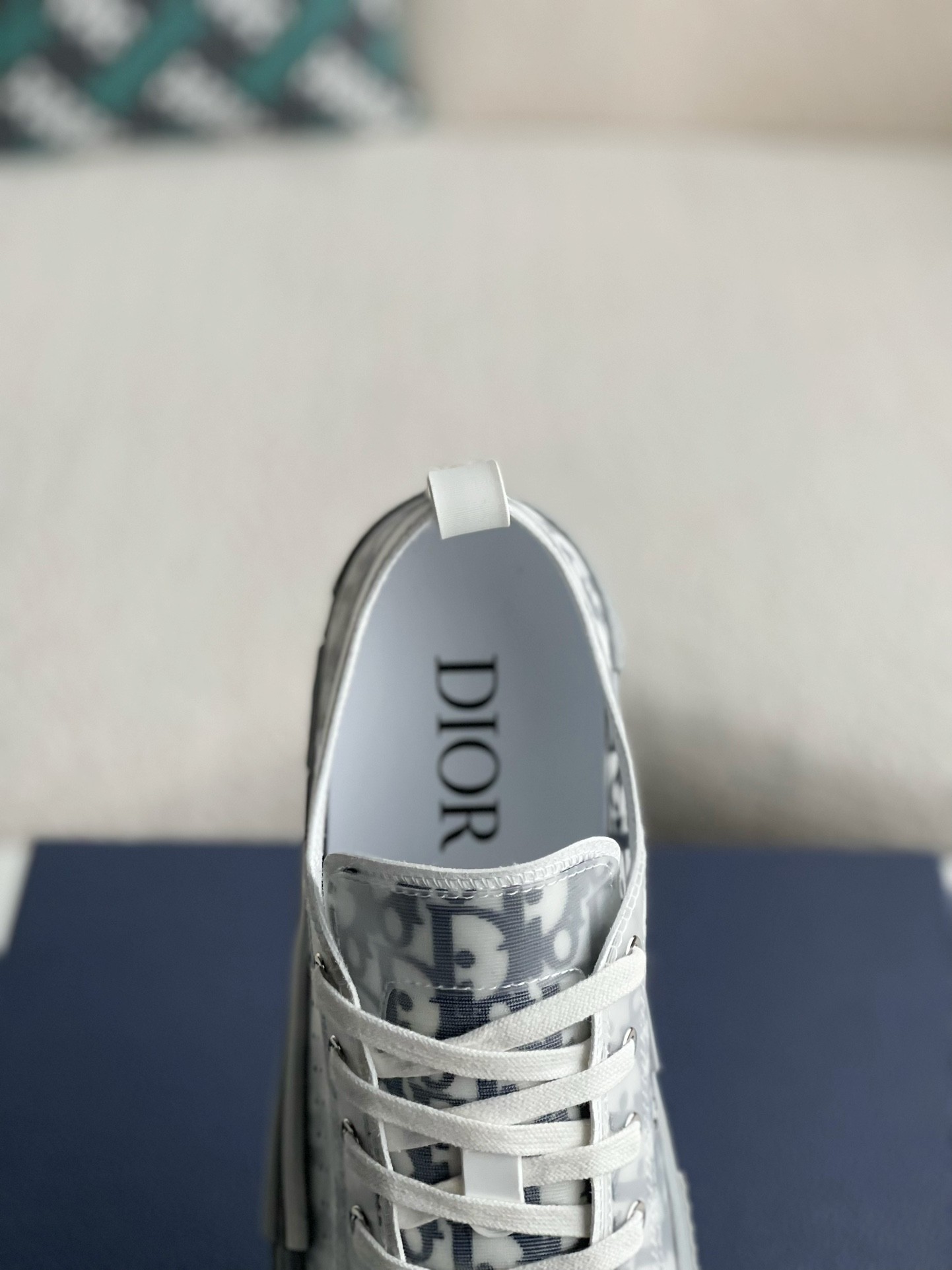 Dior B23 oblique Sneaker