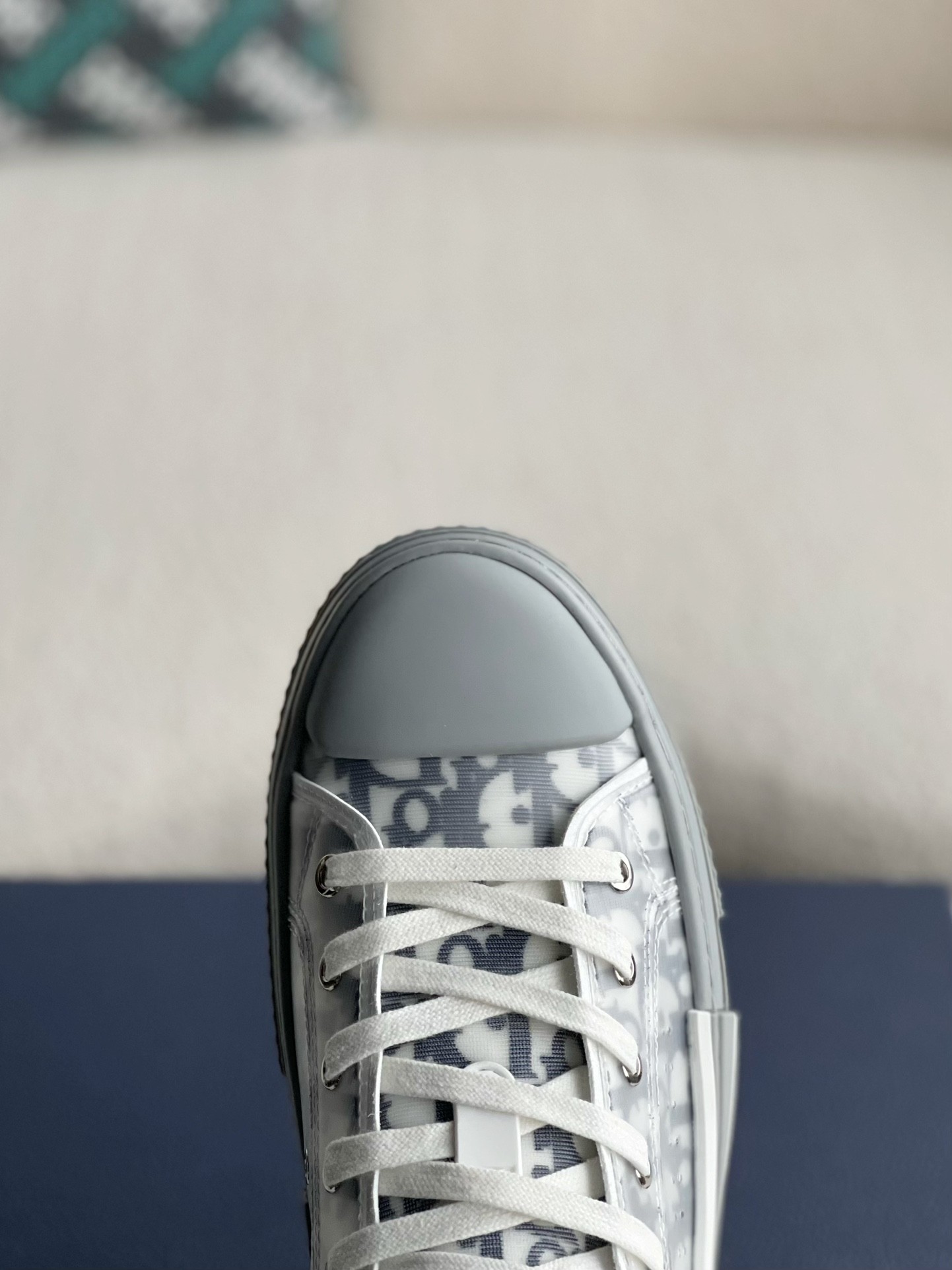 Dior B23 oblique Sneaker