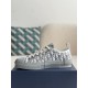 Dior B23 oblique Sneaker