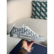 Dior B23 oblique Sneaker