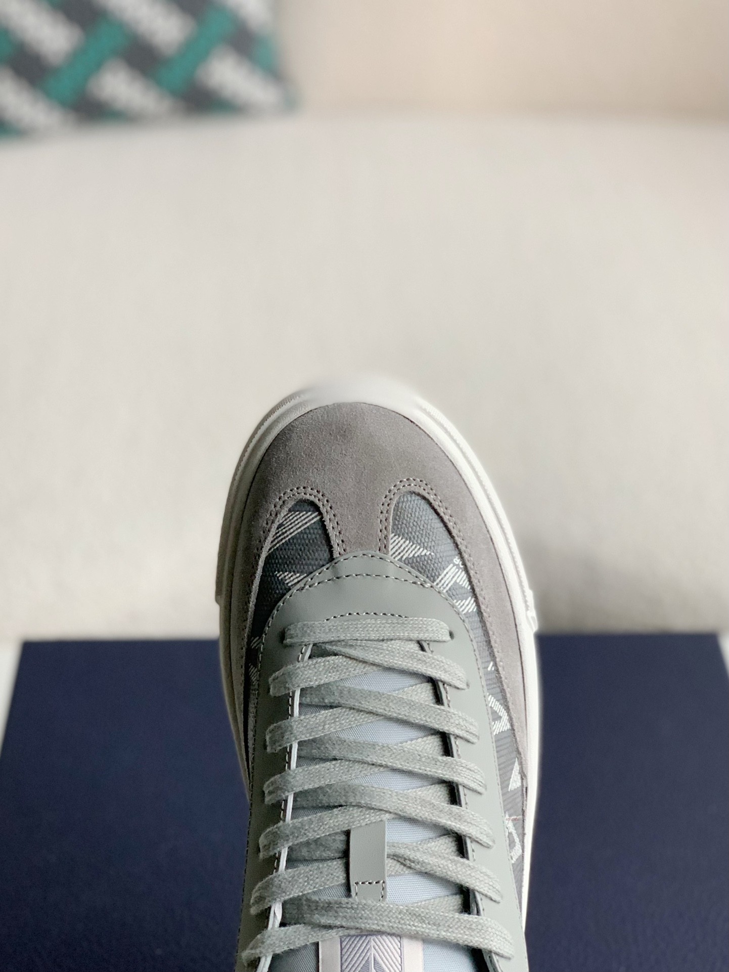  Dior B101 Sneaker Shoes Luxury Shoes