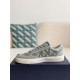  Dior B101 Sneaker Shoes Luxury Shoes