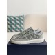  Dior B101 Sneaker Shoes Luxury Shoes