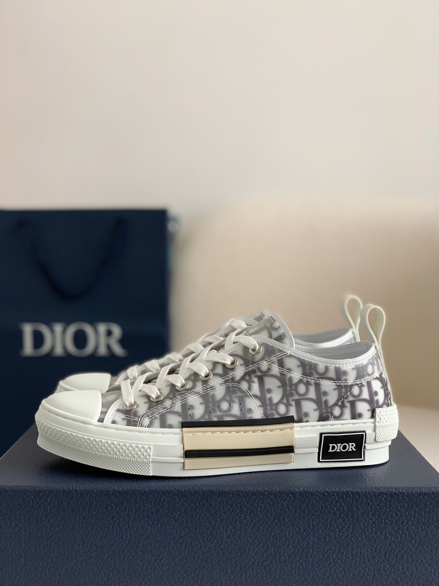 Dior B23 oblique Sneaker