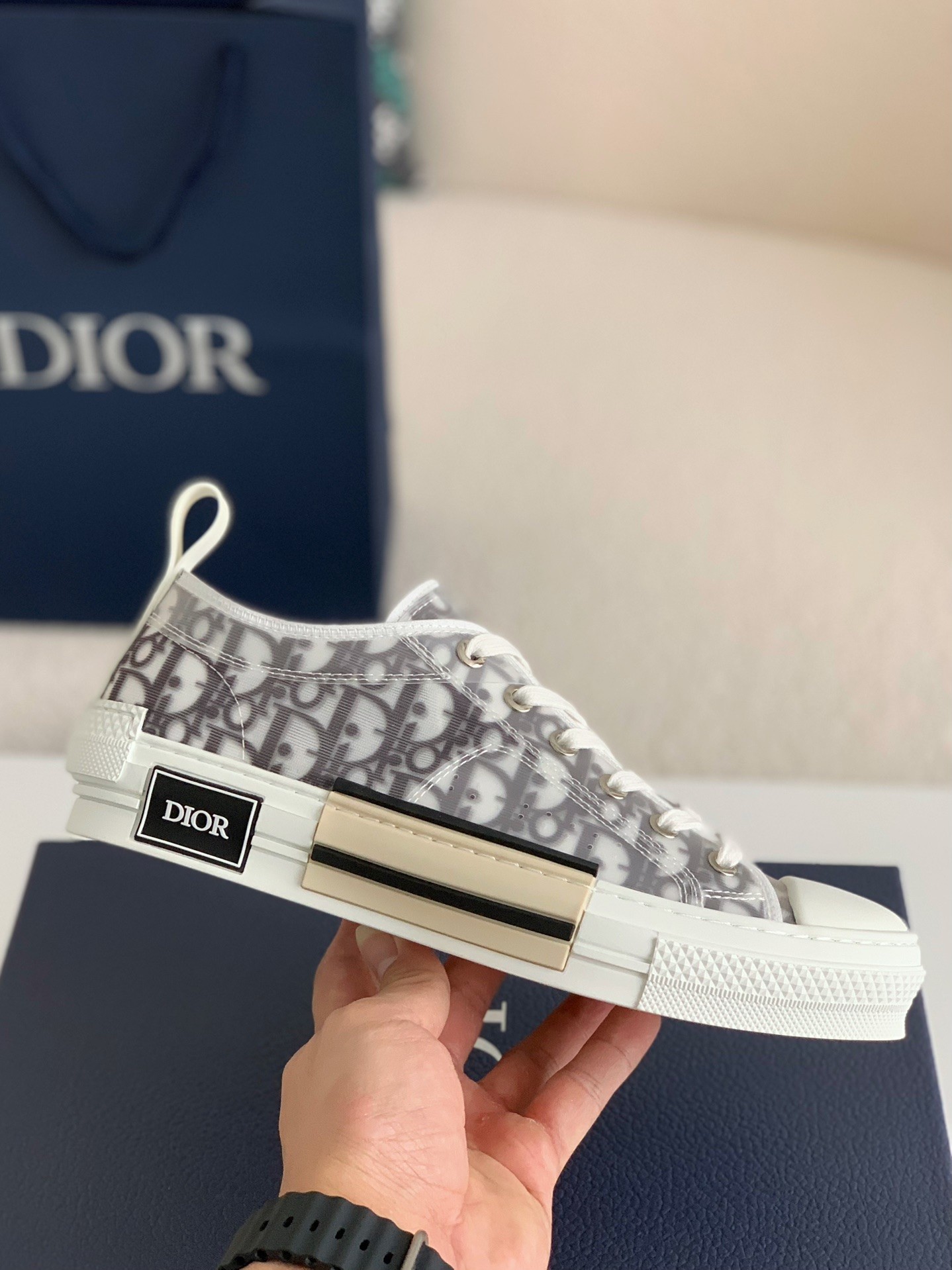 Dior B23 oblique Sneaker