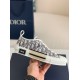 Dior B23 oblique Sneaker