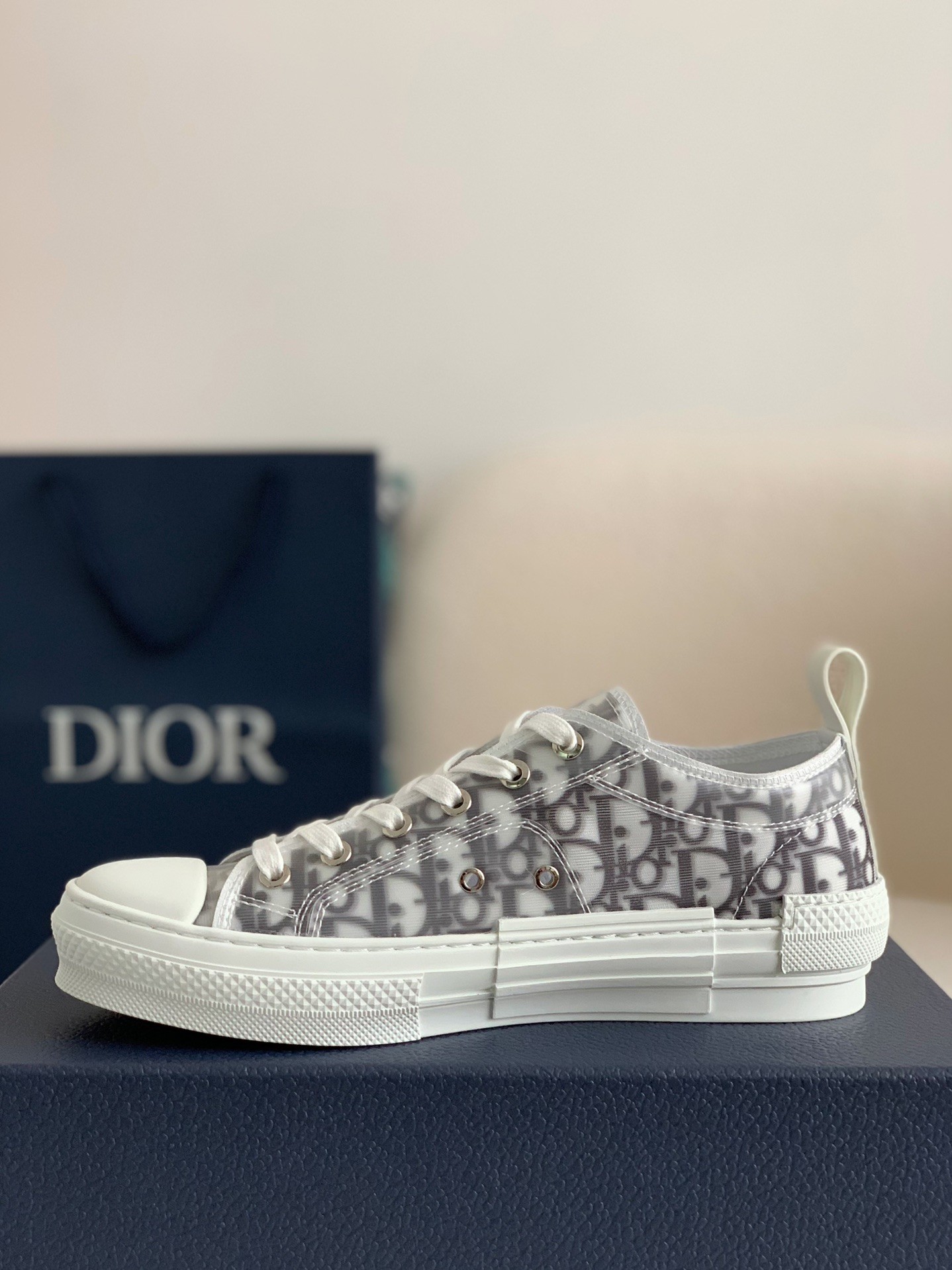 Dior B23 oblique Sneaker