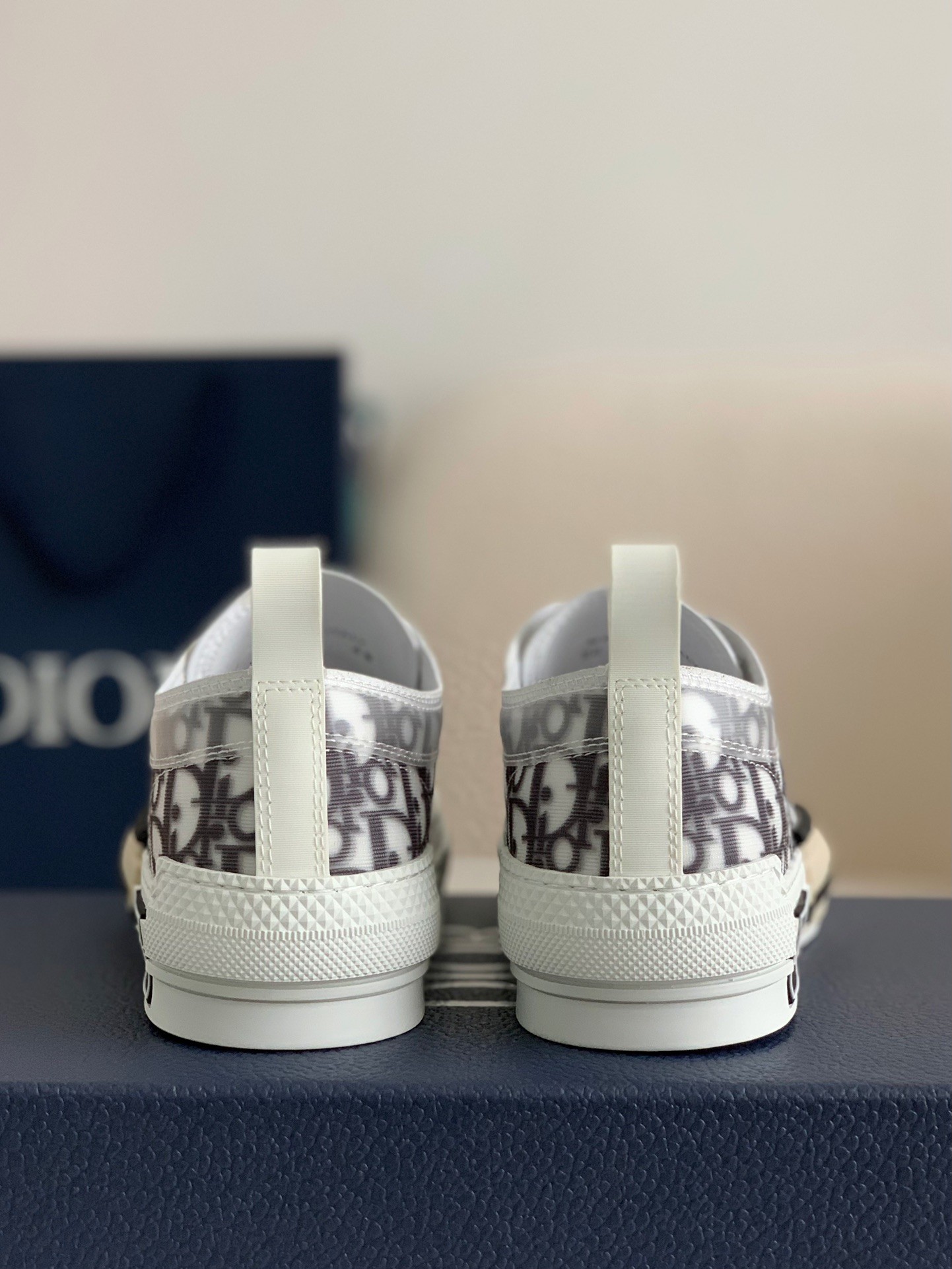 Dior B23 oblique Sneaker