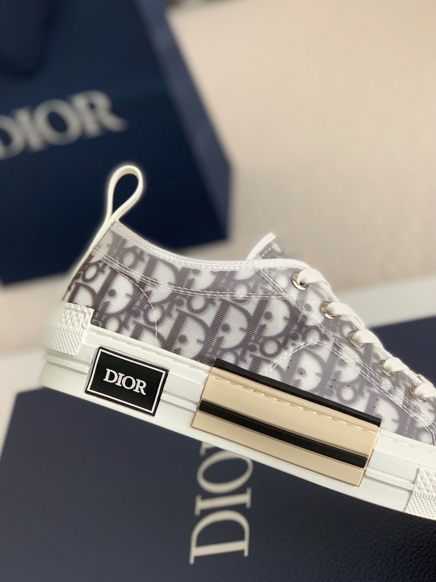 Dior B23 oblique Sneaker