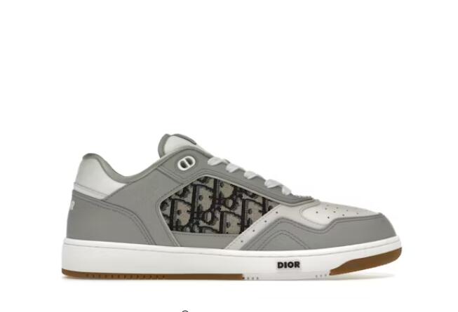 Dior B27 Low Gray White